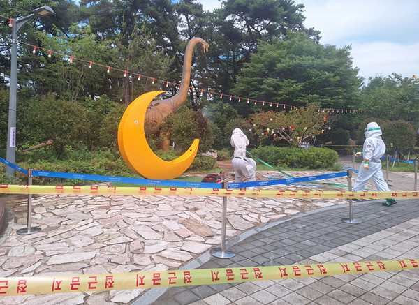 En Corea del Sur, enjambre de avispones ataca a 15 turistas en la zona turística de Songdo, Busan 케이블카 타러 갔다 말벌 떼 ‘날벼락…부산 송도서 관광객 15명 쏘여.jpg